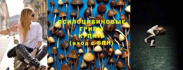 гашик Абдулино